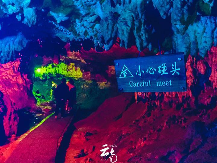 熊出没水果大陆2